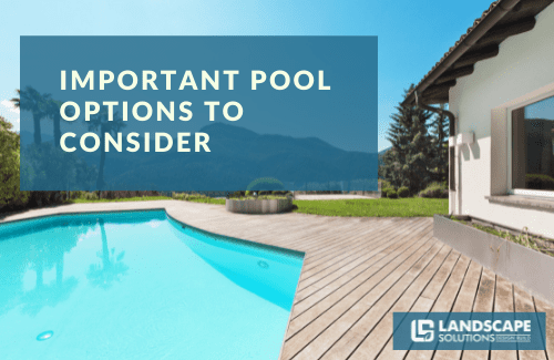 Important Pool Options You Should Consider