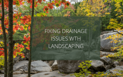 landscaping to fix drainage issues