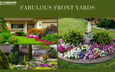 Fabulous front yard landscaping curb appeal