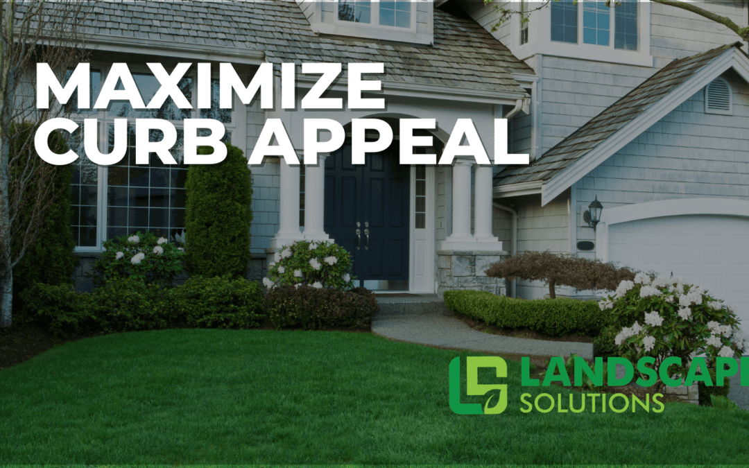 Maximize Curb Appeal with Landscape Design: Tips from the Experts