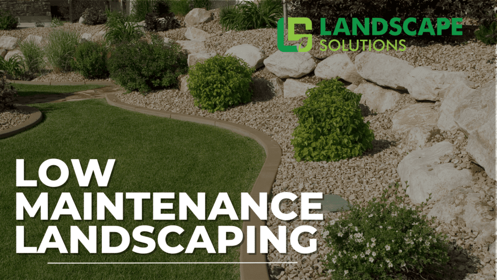 low maintenance landscaping