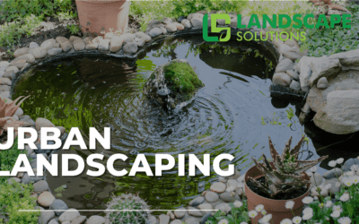 urban landscaping