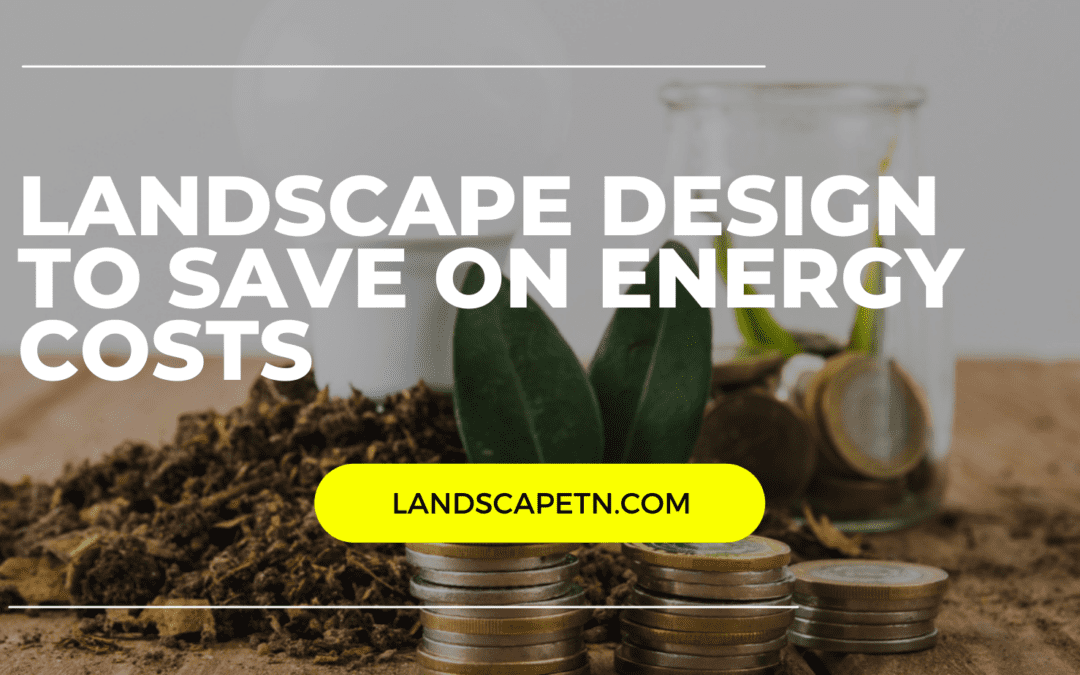 Designing a Landscape to Reduce Energy Costs for Your Home
