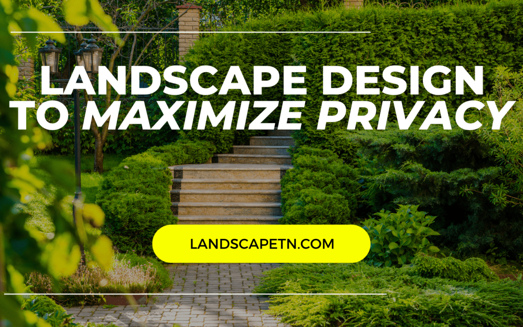 Maximizing Privacy with Creative Landscaping Solutions