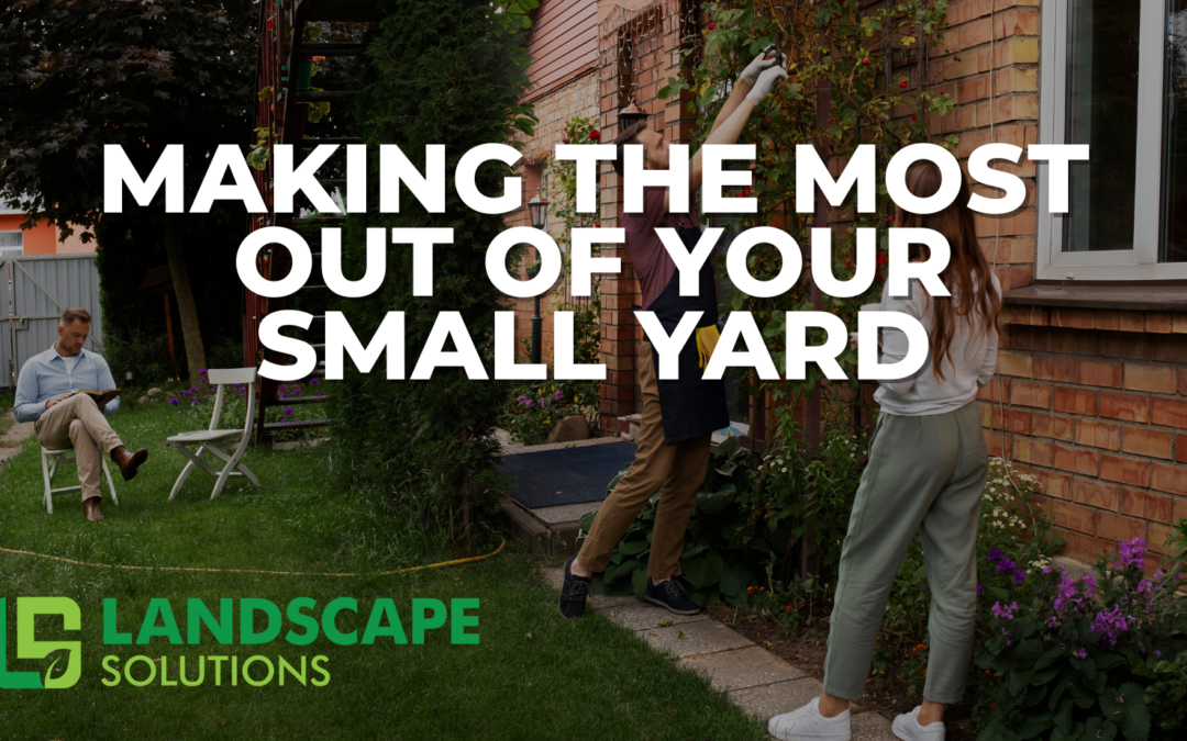 Making the Most Out of Your Small Yard
