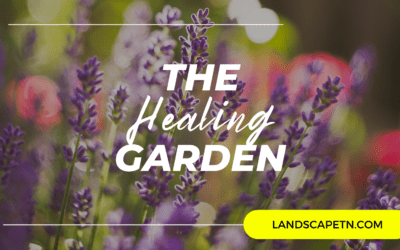 The Healing Garden