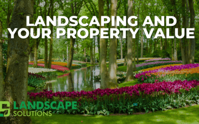 Landscaping and your Property Value