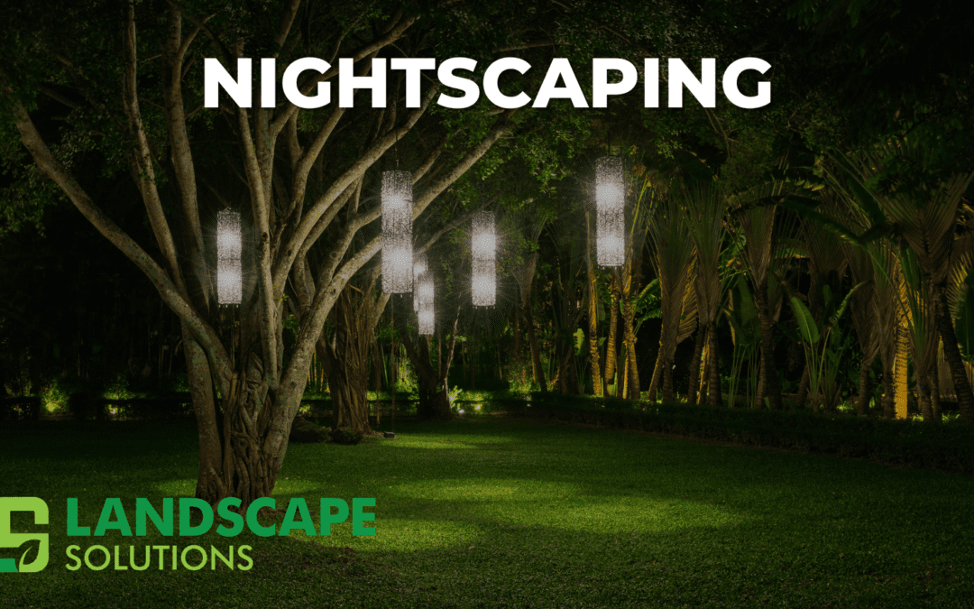 Nightscaping: Illuminating Your Landscape for Beauty and Security