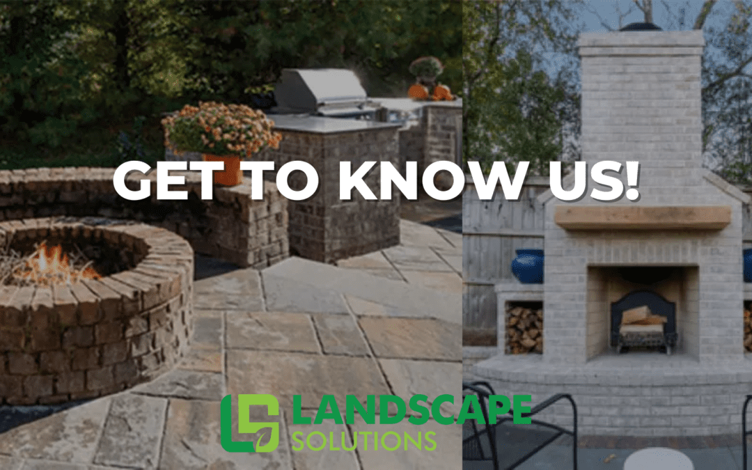 Landscape Solutions: A Journey of Growth and Sustainability