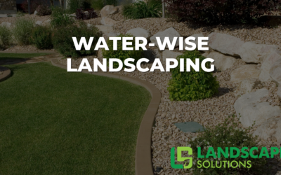water-wise landscaping