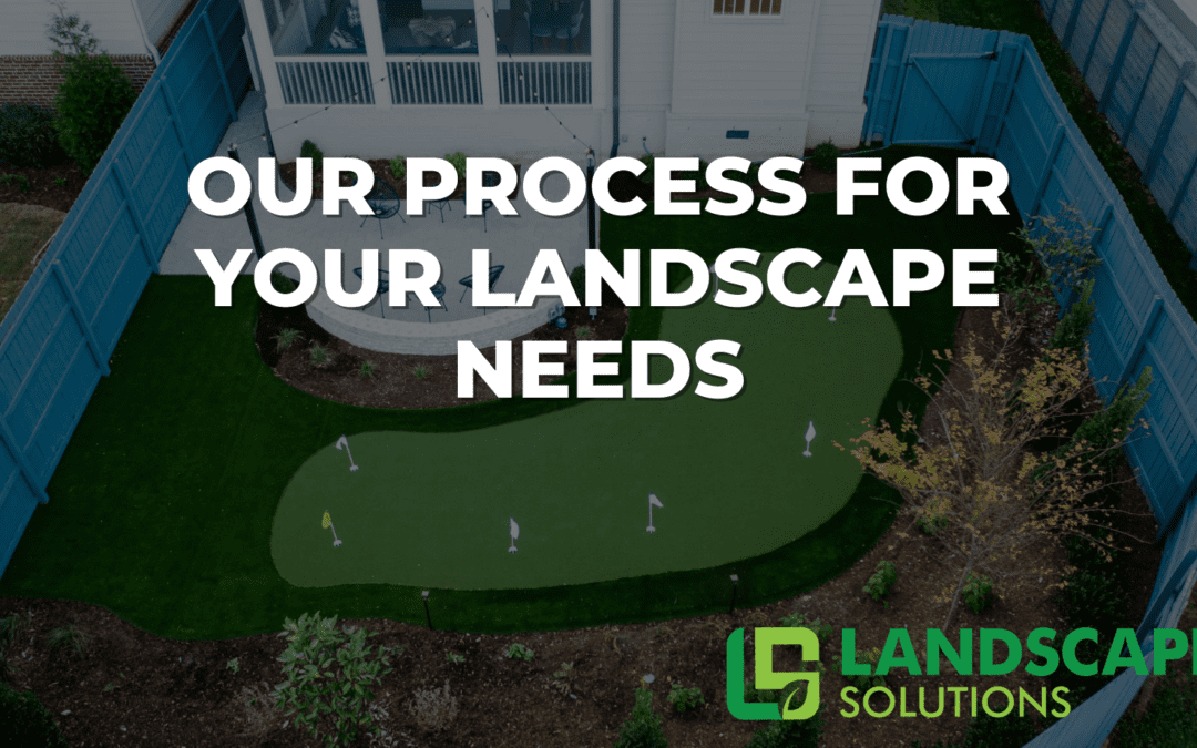 Your Dream Landscape: A Deep Dive into Our Design Process