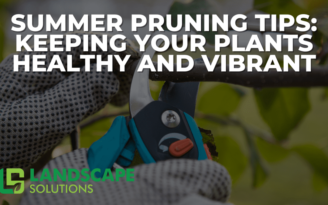 Summer Pruning Tips: Keeping Your Plants Healthy and Vibrant