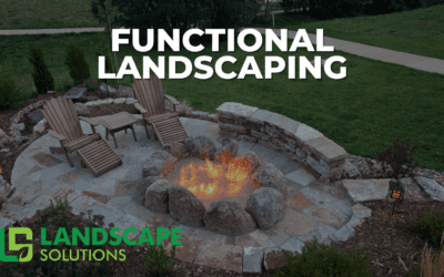 Functional Landscaping