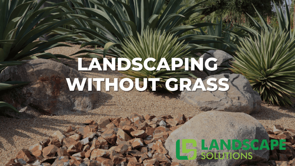 Landscaping Without Grass