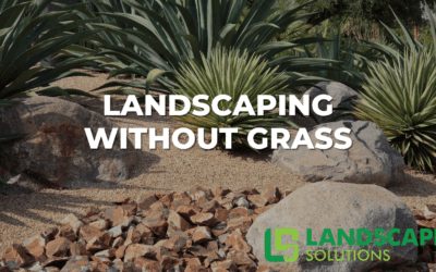 Landscaping Without Grass