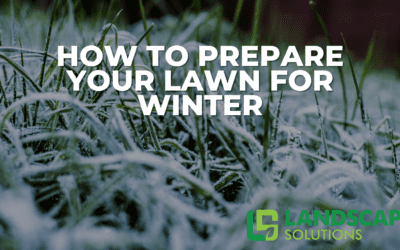 How to Prepare Your Lawn for Winter