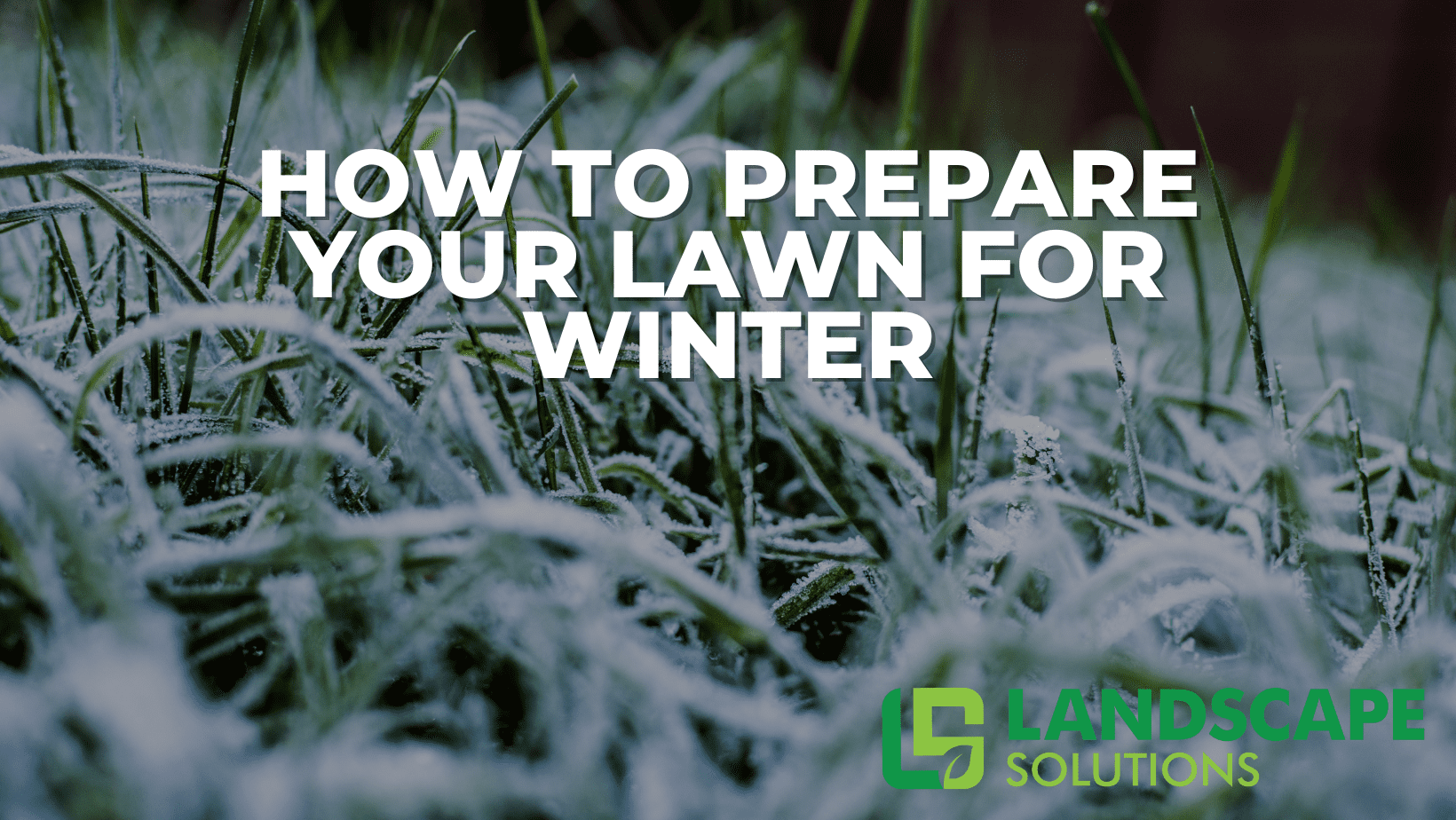 How to Prepare Your Lawn for Winter