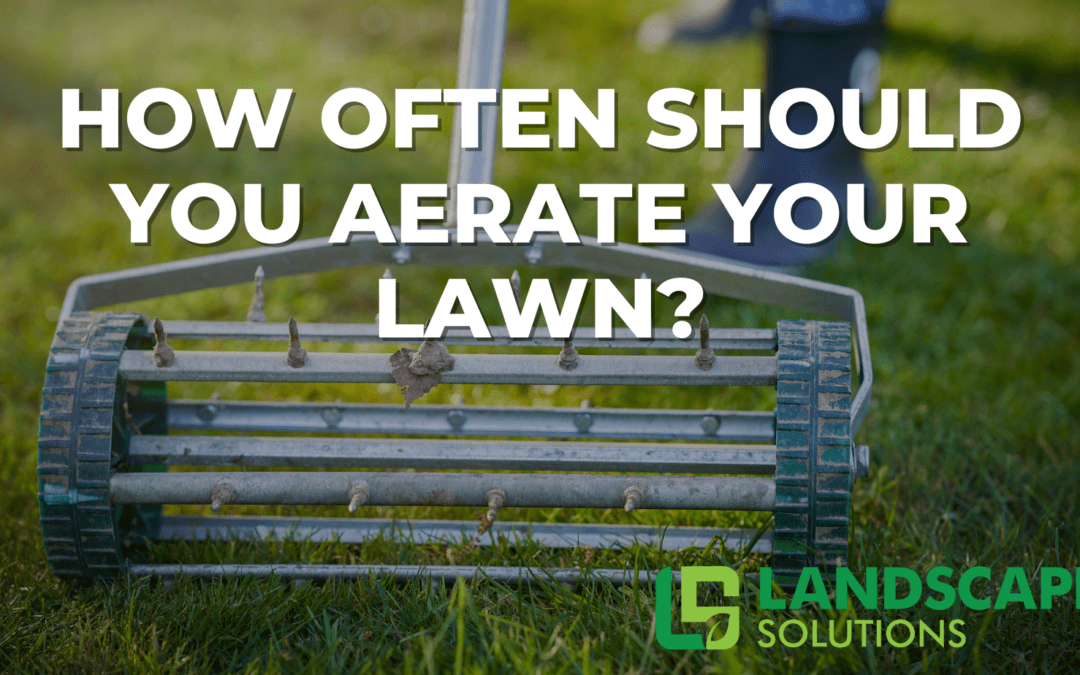 How and When to Aerate for a Healthier, Lusher Lawn