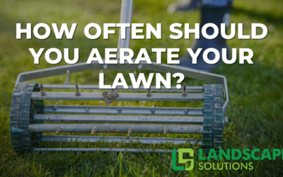 How often should You aerate