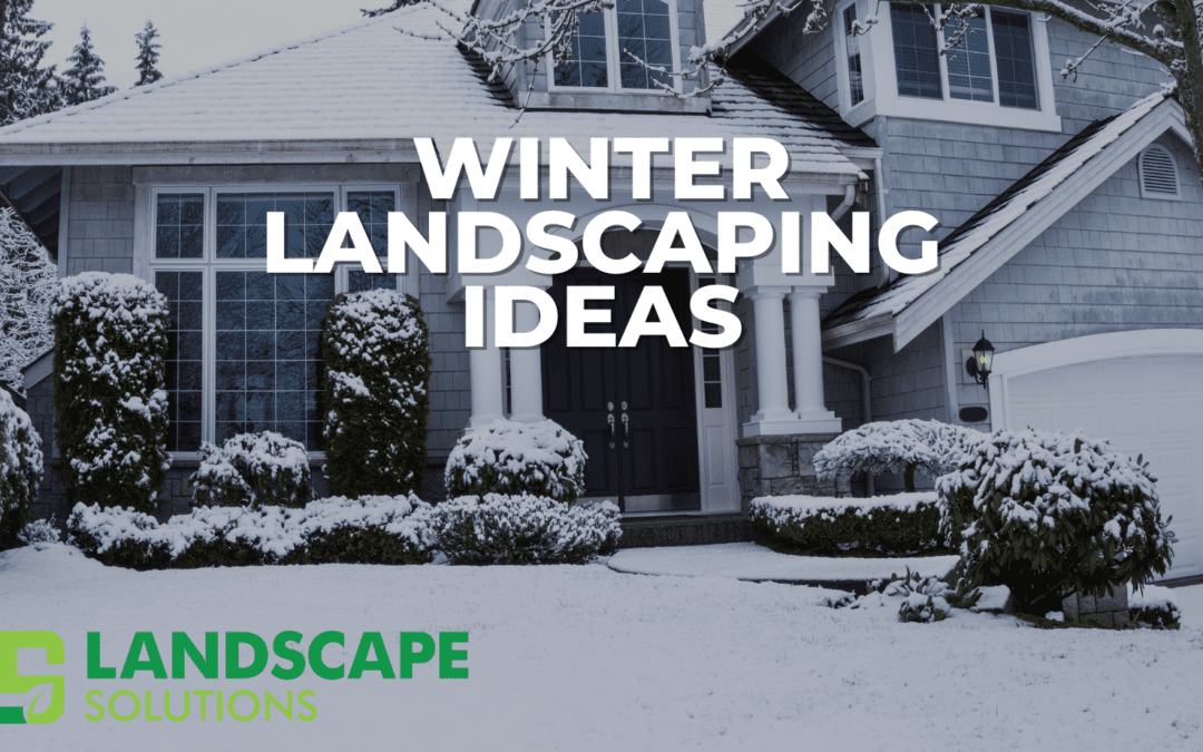 Top Winter Landscaping Ideas to Add Beauty to Your Yard