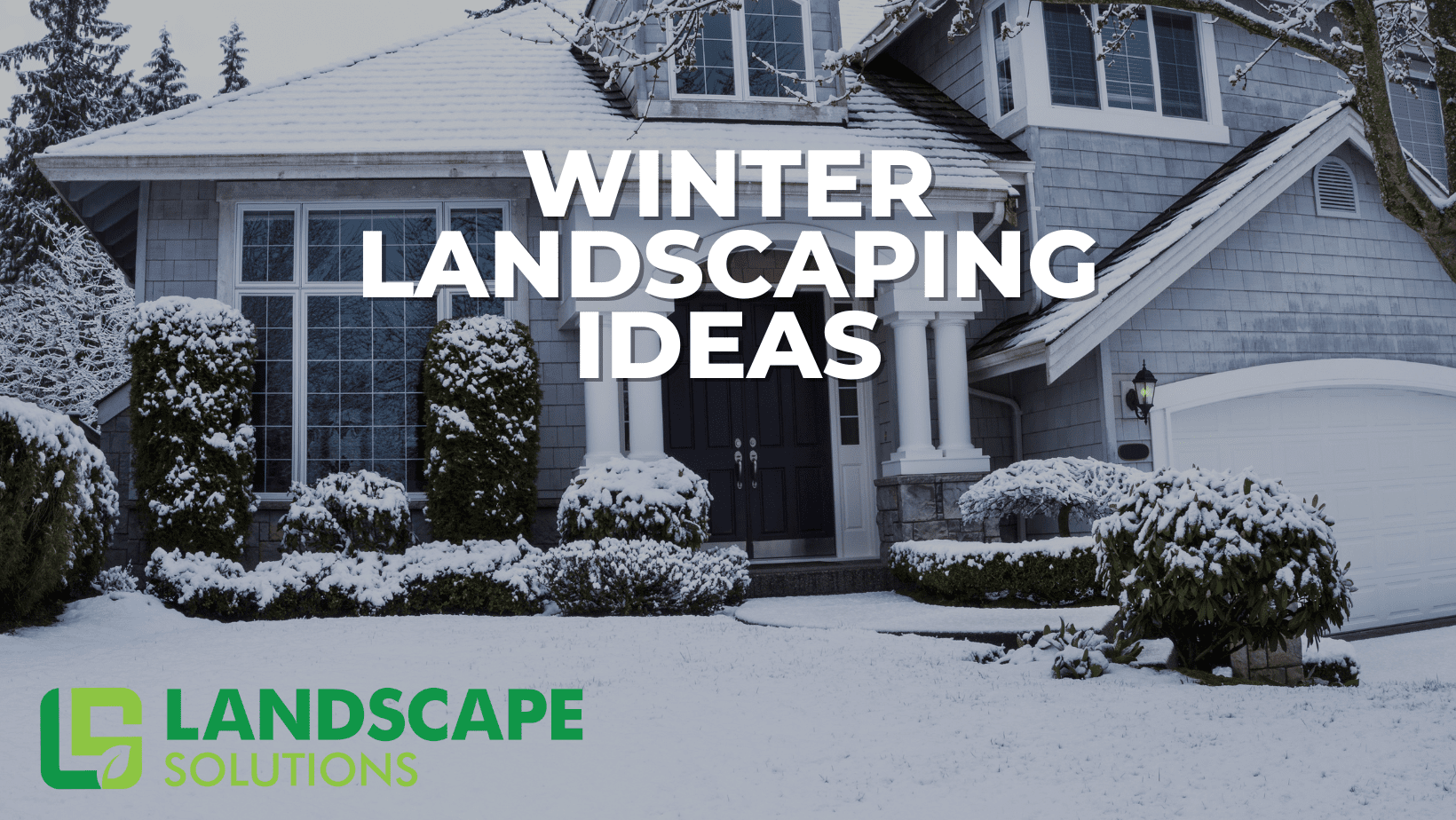 Winter Landscaping Ideas