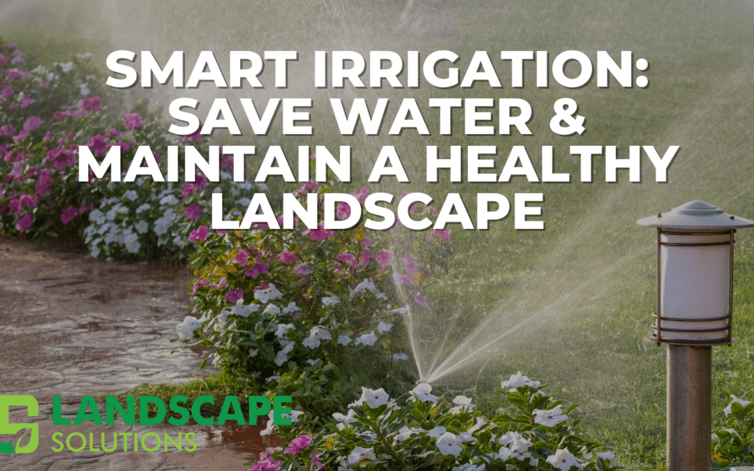 Smart Irrigation: Save Water & Maintain a Healthy Landscape