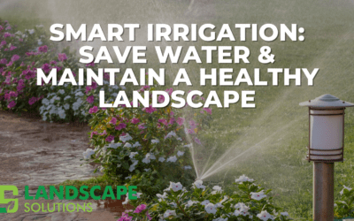 Smart Irrigation Save Water & Maintain a Healthy Landscape