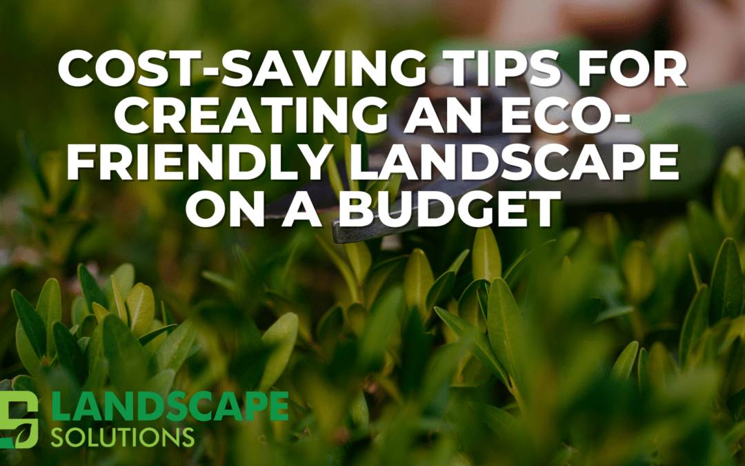 Cost-Saving Tips for Creating an Eco-Friendly Landscape