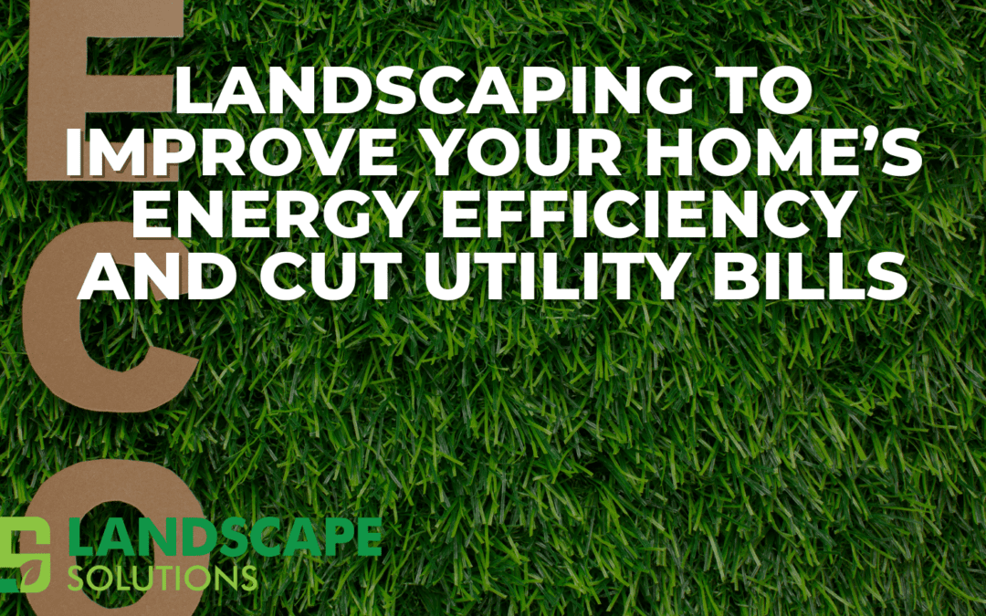 Landscaping to Improve Your Home’s Energy Efficiency