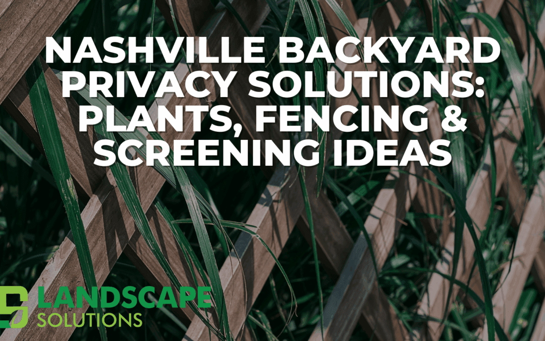 Nashville Backyard Privacy Solutions: Plants, Fencing & Screening
