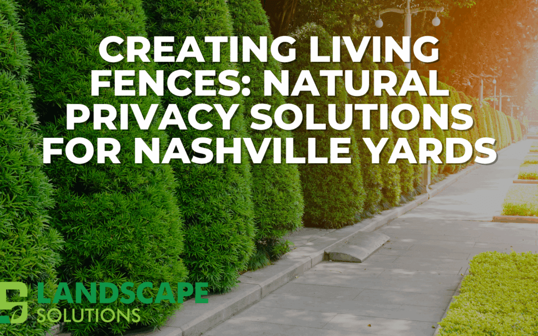 Natural Privacy Solutions for Nashville Yards